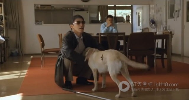 [导盲犬小Q][DVD-MKV][日语中字][豆瓣8.4分][1.3GB][2004]
