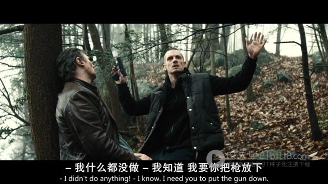[暗夜逐仇][BD-720P/1080P-MP4][英语中字][豆瓣7.3分][2.1GB/4.9GB][2015]