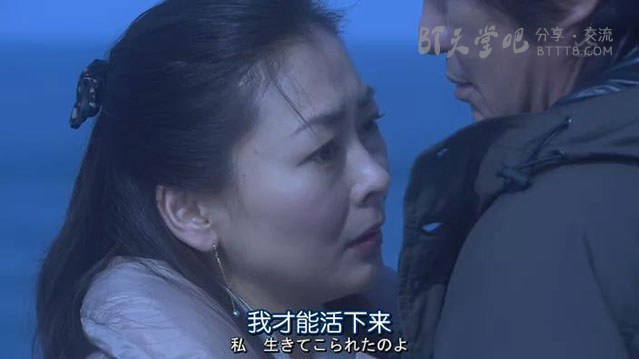 [终点站-曙光号特快之恋][HDTV-RMVB][日语中字][豆瓣6.1分][406MB][2012]