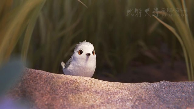 [鹬 短片][BD-720P/1080P-MKV][无对白][豆瓣9.2分][282MB/496MB][2016]