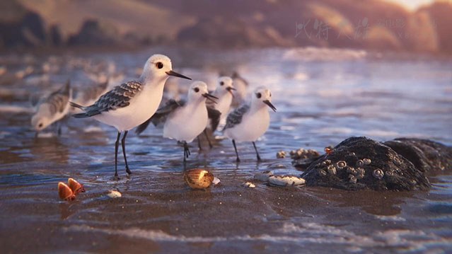 [鹬 短片][BD-720P/1080P-MKV][无对白][豆瓣9.2分][282MB/496MB][2016]