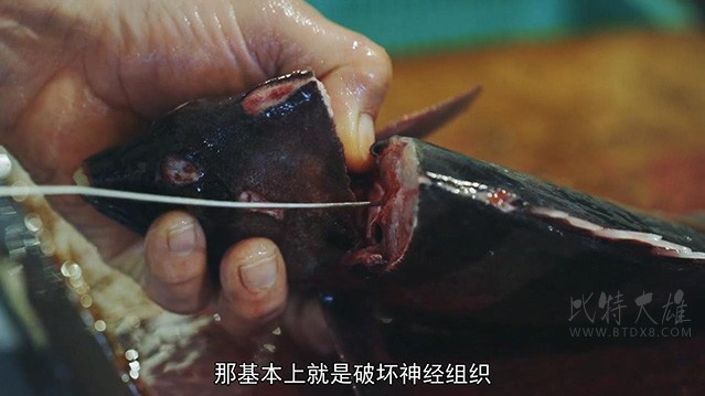 [筑地仙境][BD-720P-MP4][日语中字][豆瓣7.8分][1.85GB][2016]